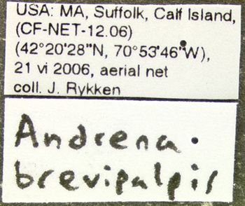 Media type: image;   Entomology 609445 Aspect: labels